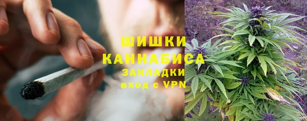 ALPHA-PVP Каменка