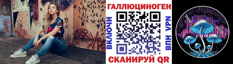 Купить где  Егорьевск  Псилоцибиновые грибы Psilocybe 